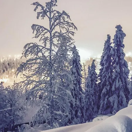 Holiday Valtavaara Дом отдыха *